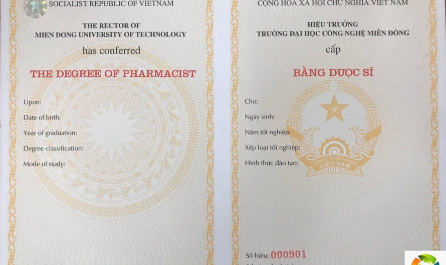 Những lưu ý khi mua bằng đại học cần phải biết