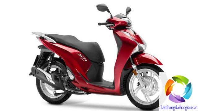 làm bằng lái xe