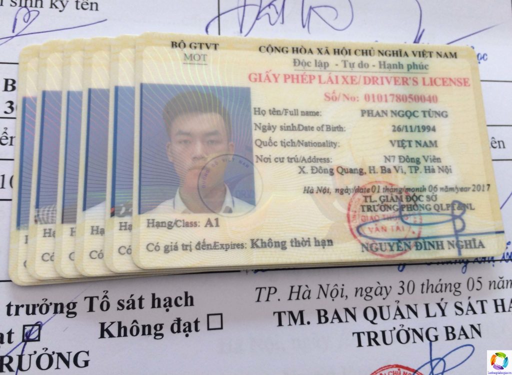 làm bằng lái xe