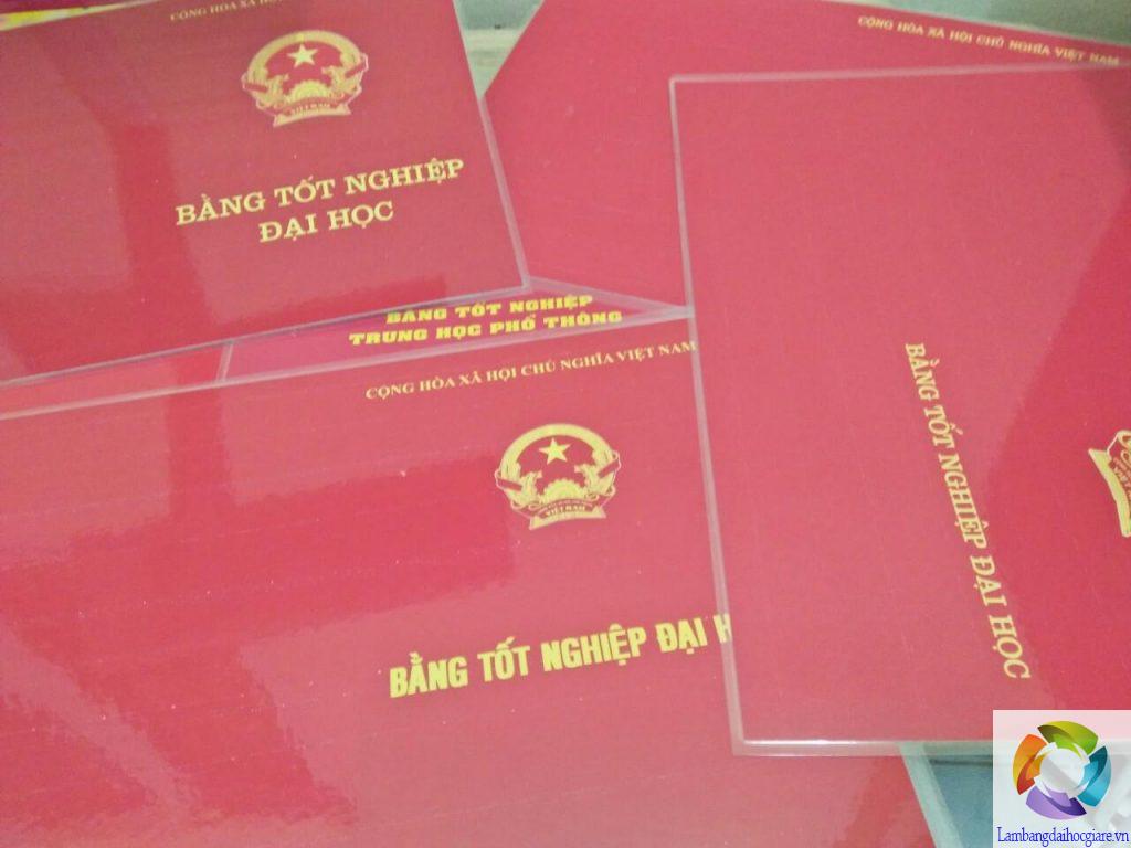 làm bằng đại học Gia Định