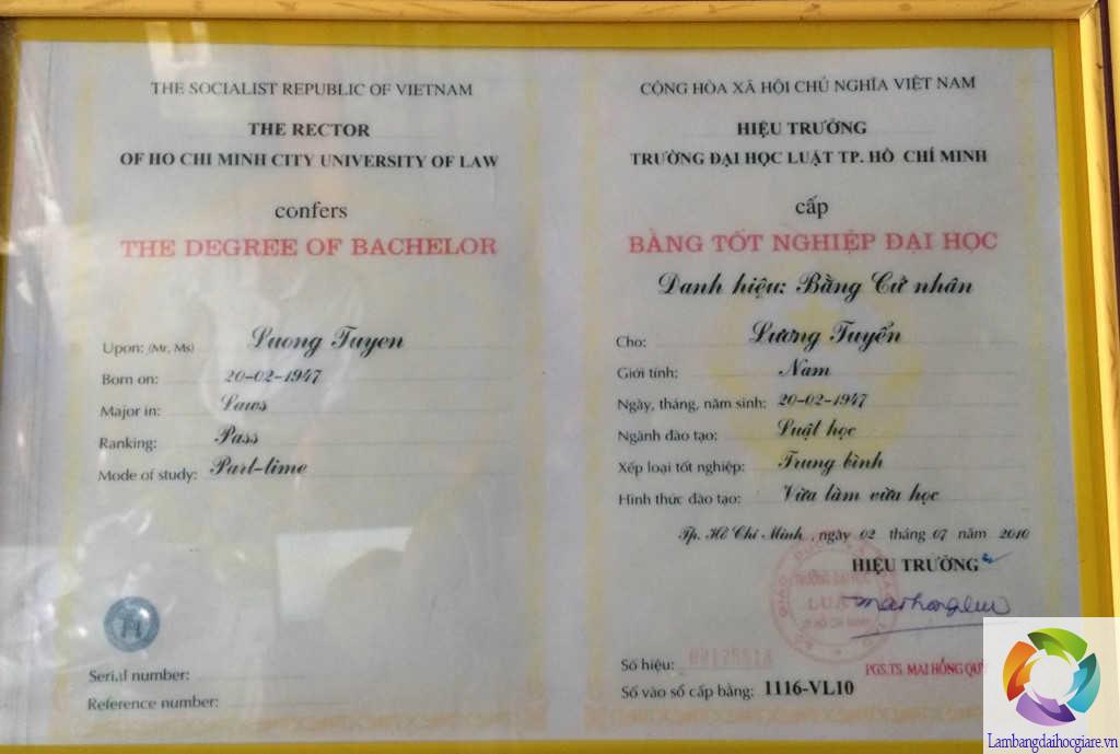 làm bằng đại học Luật TpHCM