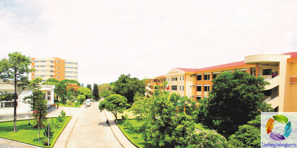 làm bằng Đại học Ngân Hàng Tp.HCM