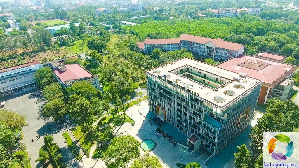 làm bằng đại học Nông Lâm