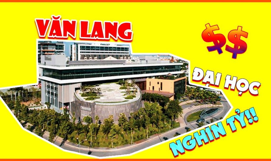 Làm bằng đại học Văn Lang uy tín nhất hiện nay – Bảo hành vĩnh viễn