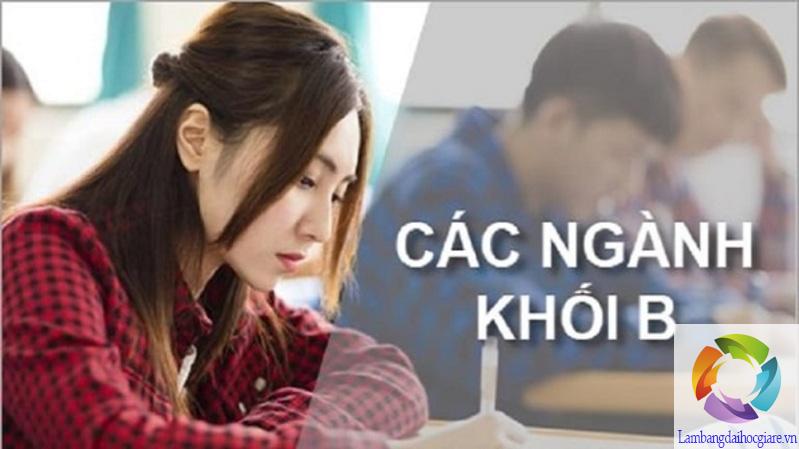 khối B gồm những môn nào