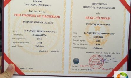 làm bằng đại học tại hà nội