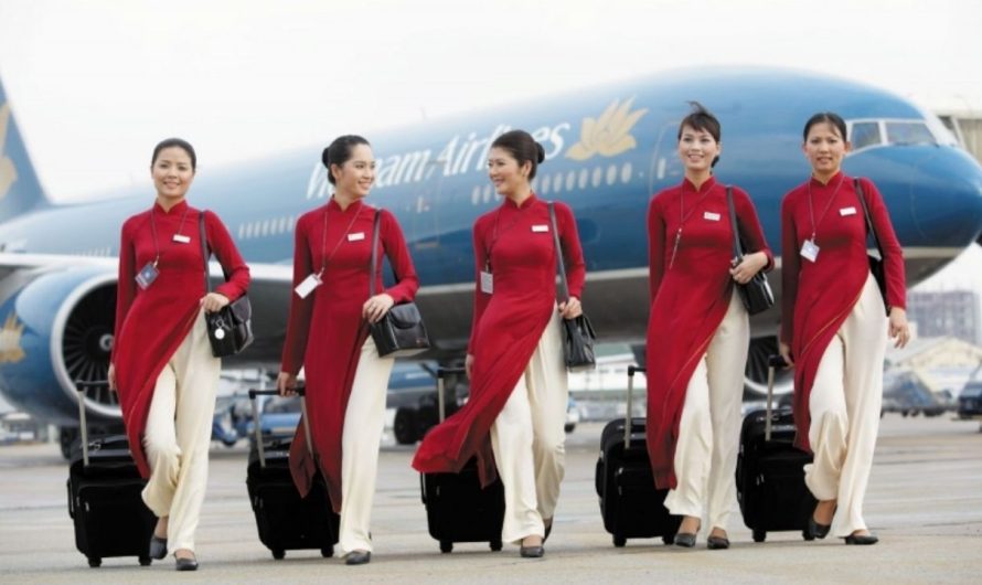 Muốn làm tiếp viên hàng không có cần bằng đại học không ? Điều kiện tuyển dụng là gì ?