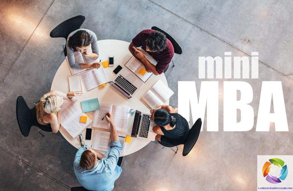 Mini MBA