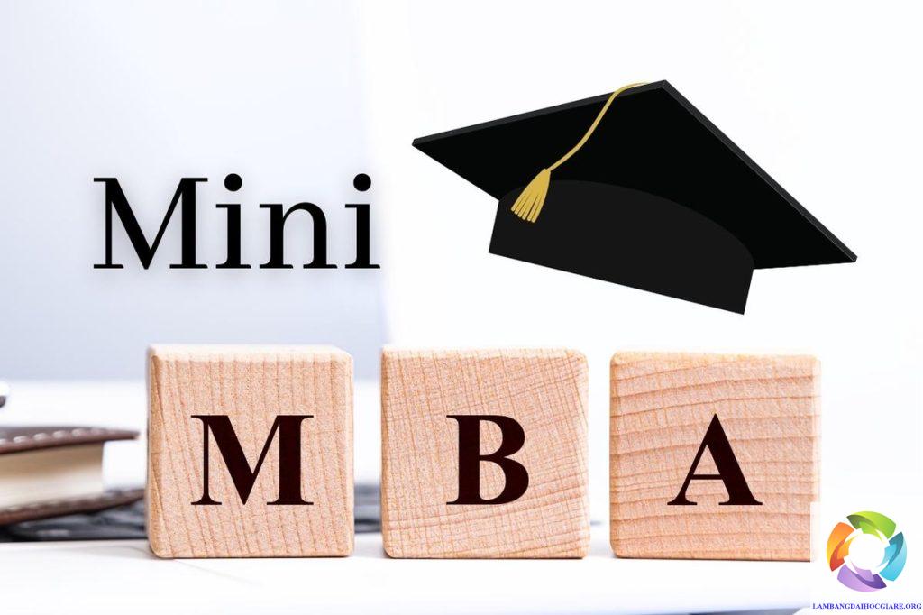 Mini MBA