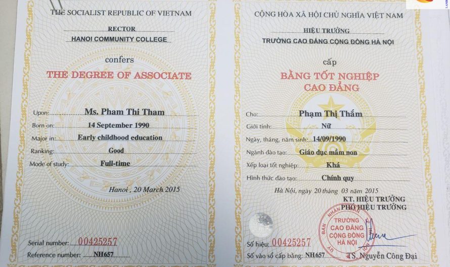 Làm Bằng Đại Học Giả Có Hợp Pháp Không? Những Quy Định Cần Biết