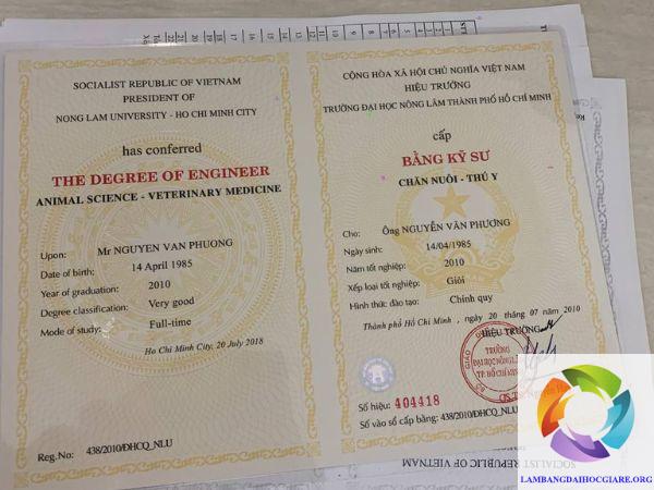Các Loại Bằng Đại Học
