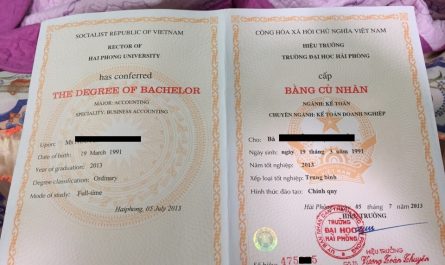 làm bằng đại học