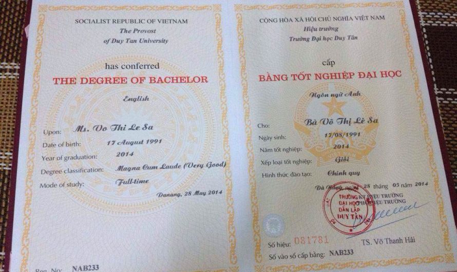 Làm Bằng Đại Học Có Bao Nhiêu Loại? Chọn Loại Nào Phù Hợp?
