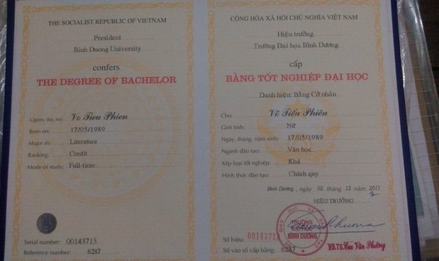 Làm bằng đại học tại Long An: Giải pháp hiệu quả cho nhu cầu thăng tiến