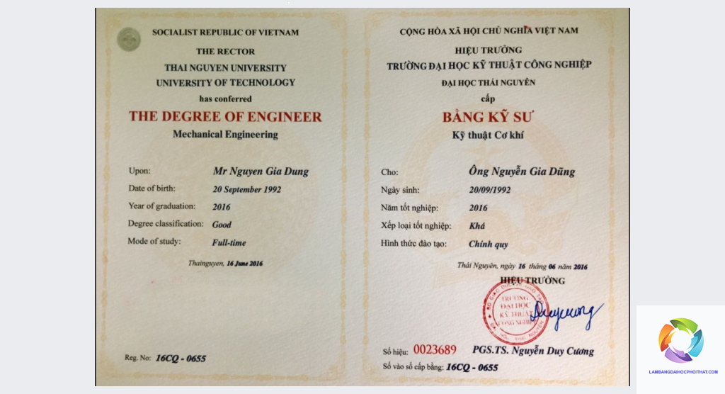 bằng đại học