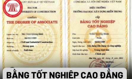 bằng cao đẳng có được học lên đại học không
