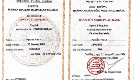 bằng cao đẳng công nghệ thông tin làm lập trình viên được không