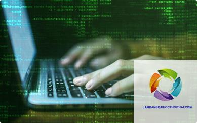 bằng cao đẳng công nghệ thông tin làm lập trình viên được không - Hình 5