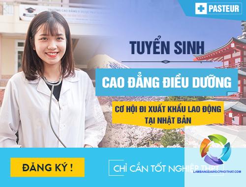 bằng cao đẳng điều dưỡng có đi nhật được không - Hình 4