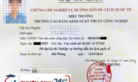 bằng cao đẳng du lịch làm điều hành tour được không