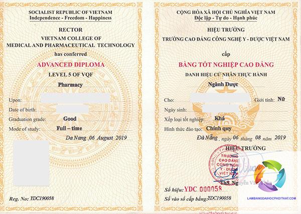 bằng cao đẳng dược - Hình 3