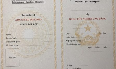 bằng cao đẳng dược có thi công chức được không