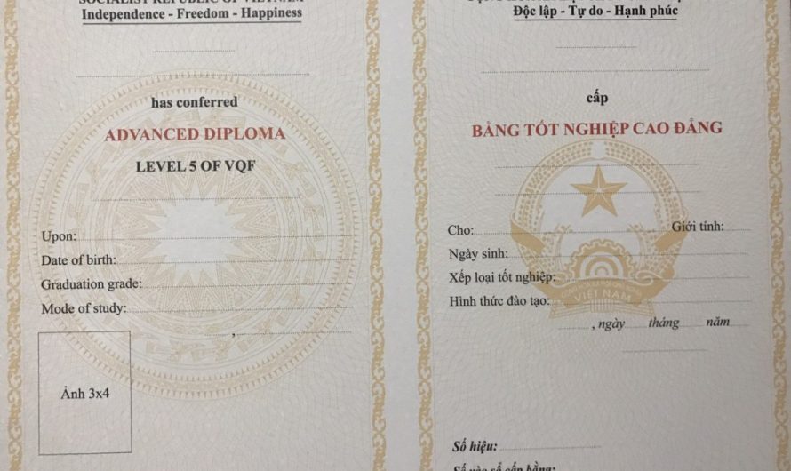 Bằng cao đẳng dược học mấy năm? Lộ trình chi tiết cho người mới bắt đầu