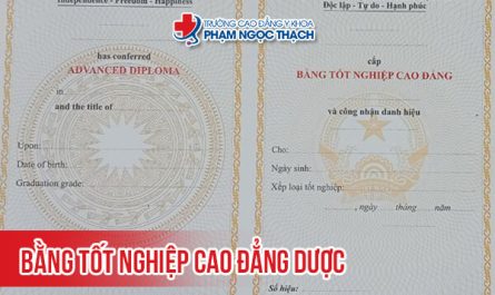 bằng cao đẳng dược ra làm gì