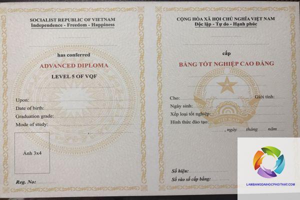 bằng cao đẳng hộ sinh - Hình 2