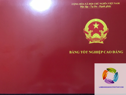 bằng cao đẳng hộ sinh - Hình 3