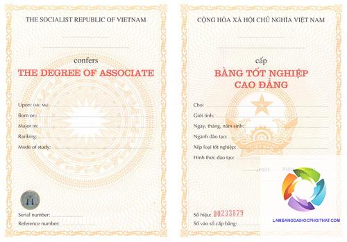 bằng cao đẳng hộ sinh - Hình 4