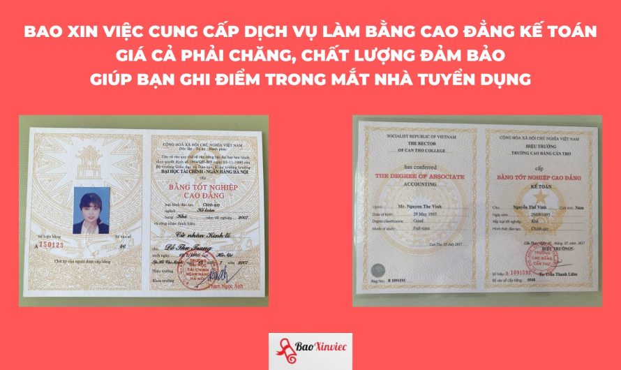 Bằng cao đẳng kế toán ra làm gì? 10+ vị trí việc làm hấp dẫn nhất 2024