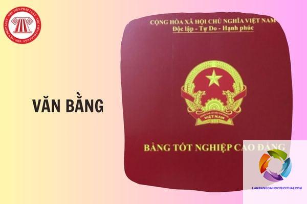 bằng cao đẳng khác gì trung cấp - Hình 2