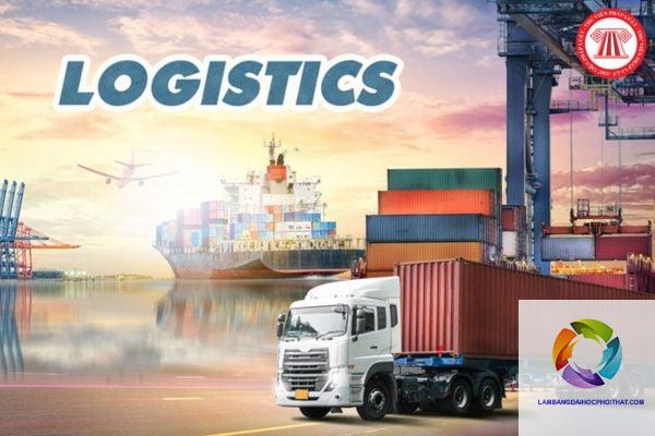 bằng cao đẳng logistics làm hải quan được không - Hình 2