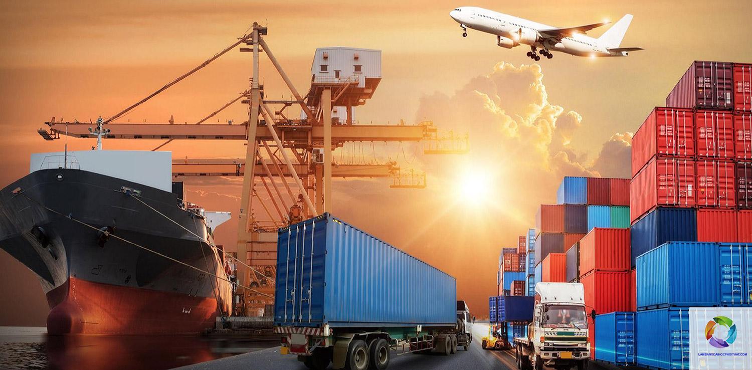 bằng cao đẳng logistics làm hãng tàu được không - Hình 4