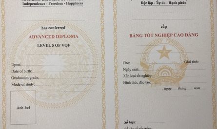 bằng cao đẳng luật làm địa chính được không