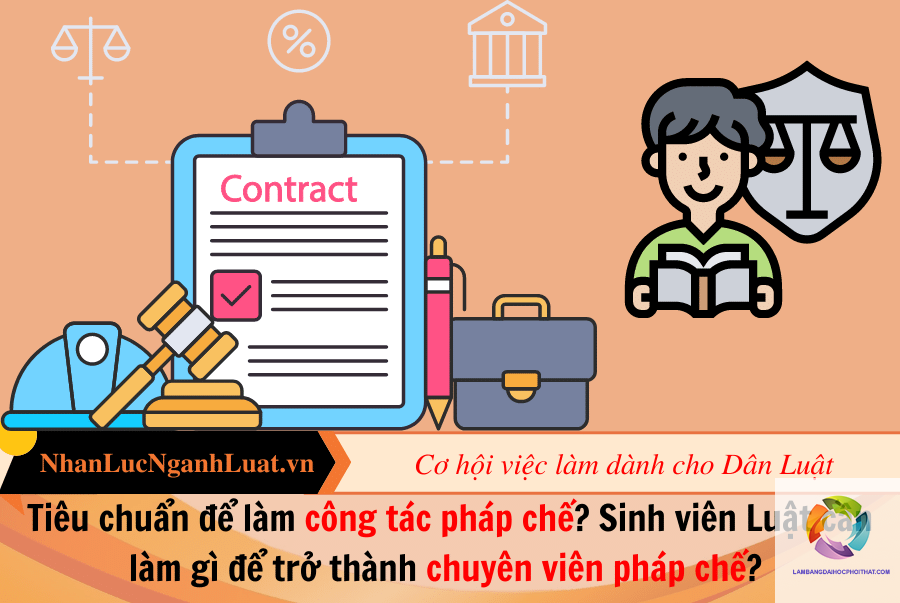 bằng cao đẳng luật làm pháp chế được không - Hình 4