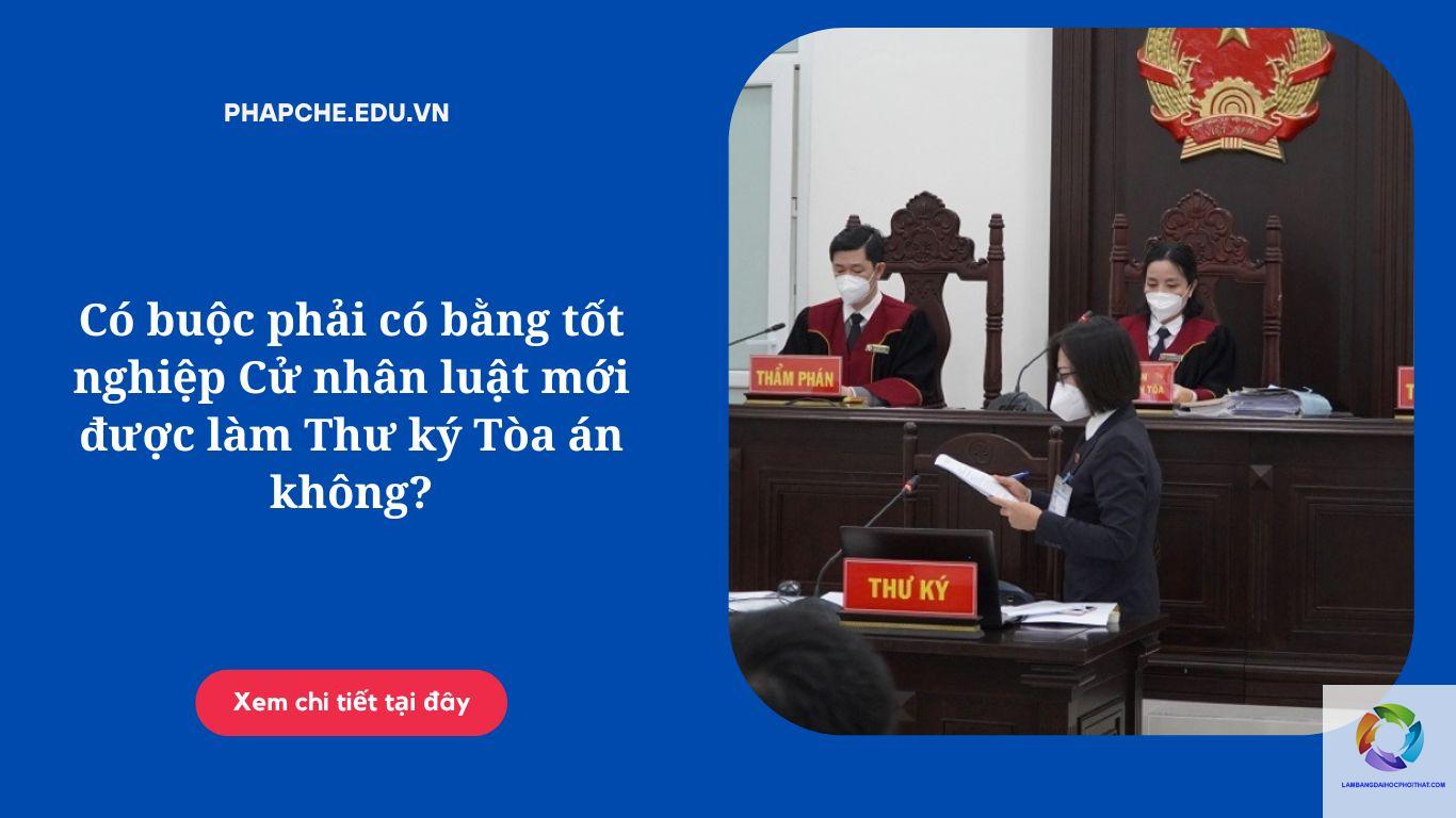 bằng cao đẳng luật làm tòa án được không - Hình 3