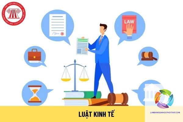 bằng cao đẳng luật làm tòa án được không - Hình 4