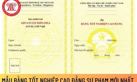bằng cao đẳng luật làm tòa án được không