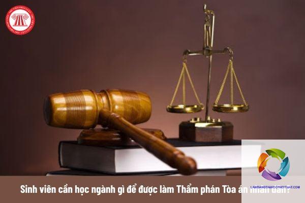 bằng cao đẳng luật làm tòa án được không - Hình 5