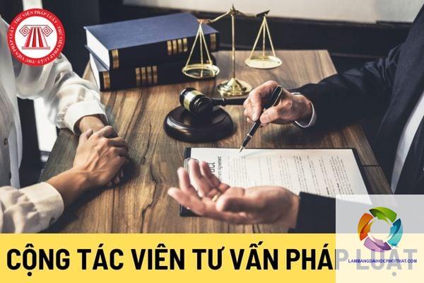 bằng cao đẳng luật làm tư vấn pháp lý được không - Hình 3