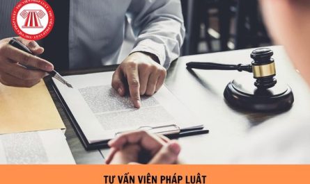bằng cao đẳng luật làm tư vấn pháp lý được không