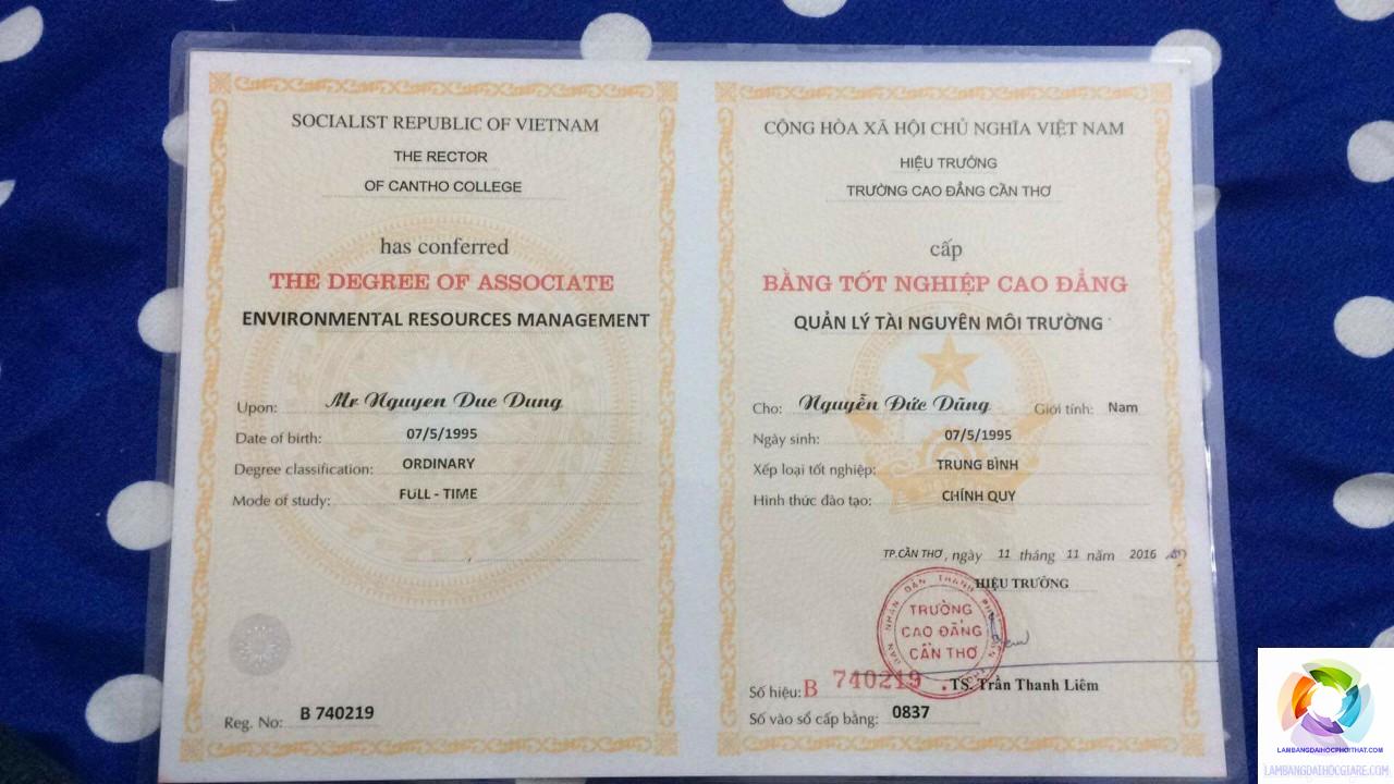bằng cao đẳng marketing làm seo được không - Hình 2
