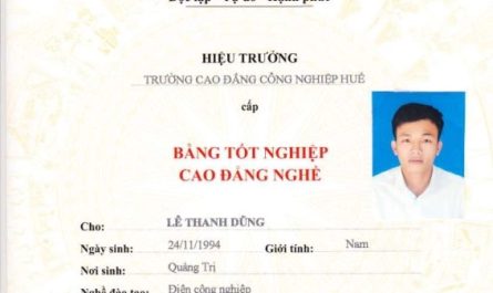 bằng cao đẳng ngôn ngữ anh làm biên dịch được không