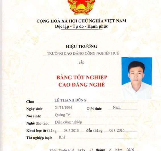 Bằng Cao Đẳng Ngôn Ngữ Anh Làm Biên Dịch Được Không? Giải Đáp Chi Tiết Từ Chuyên Gia