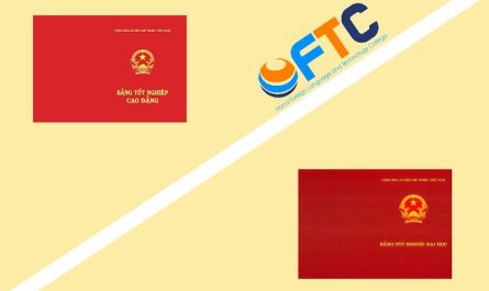 bằng cao đẳng ngôn ngữ anh làm công ty nước ngoài được không