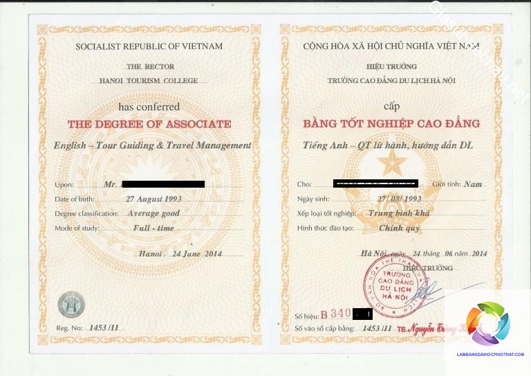 bằng cao đẳng ngôn ngữ anh làm công ty nước ngoài được không - Hình 5