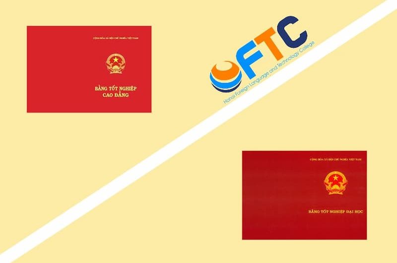 Bằng Cao Đẳng Ngôn Ngữ Anh Làm Công Ty Nước Ngoài Được Không? Cơ Hội Nghề Nghiệp Thực Tế