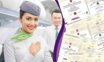 bằng cao đẳng ngôn ngữ anh làm tiếp viên hàng không được không